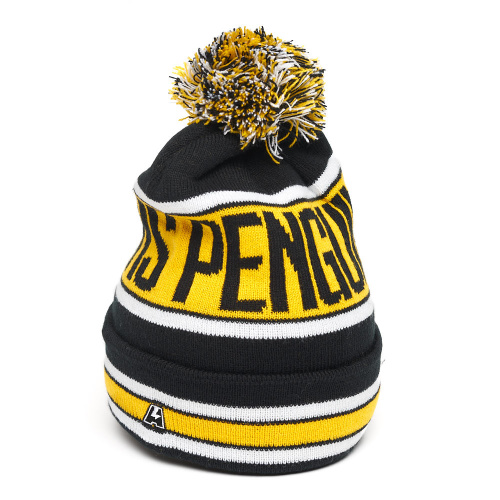 Шапка NHL Pittsburgh Penguins (Арт.59129)